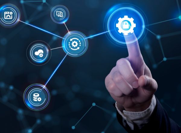 Survey Programming & Hosting